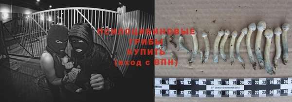 мяу мяу мука Баксан